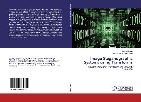 Image Steganographic Systems using Transforms: Wavelet/Contourlet Transforms and Blowfish Encryption
