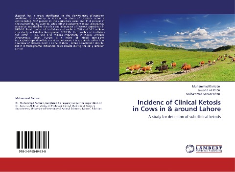 Incidenc of Clinical Ketosis in Cows in & around Lahore: A study for detection of sub clinical ketosis