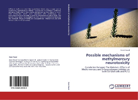 Possible mechanisms of methylmercury neurotoxicity: Correlation between The Metabolic Effects of Methylmercury and 5-Oxoprolinease inhibitor on both C6 Glial cells and PC12