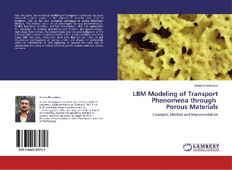 LBM Modeling of Transport Phenomena through   Porous Materials: Concepts, Method and Implementation