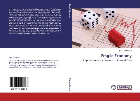 Fragile Economy: A Special look at the Causes of US Financial Crisis
