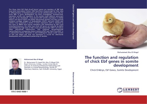 The function and regulation of chick Ebf genes in somite development: Chick Embryo, Ebf Genes, Somite Development