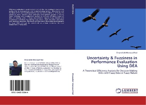 Uncertainty & Fuzziness in Performance Evaluation Using DEA: A Theoretical Efficiency Analysis for Decision Making Units with Fuzzy Data or Fuzzy Nature