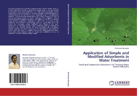 Application of Simple and Modified Adsorbents in Water Treatment: Novel and Inexpensive Adsorbents for Treating Major Water Pollutants