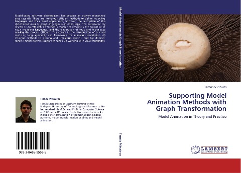 Supporting Model Animation Methods with Graph Transformation: Model Animation in Theory and Practice