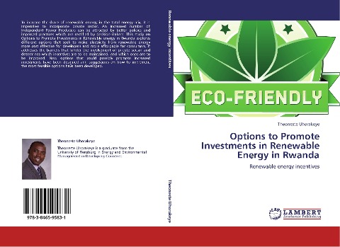 Options to Promote Investments in Renewable Energy in Rwanda: Renewable energy incentives
