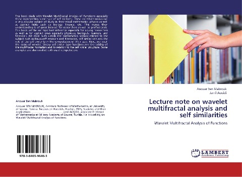 Lecture note on wavelet multifractal analysis and self similarities: Wavelet Multifractal Analysis of Functions