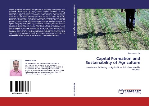 Capital Formation and Sustainability of Agriculture: Investment & Saving in Agriculture & its Sustainable Growth