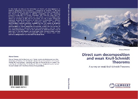 Direct sum decomposition and weak Krull-Schmidt Theorems: A survey on weak Krull-Schmidt Theorems