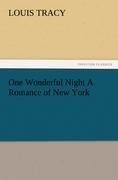 One Wonderful Night A Romance of New York