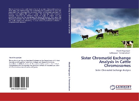 Sister Chromatid Exchange Analysis in Cattle Chromosomes: Sister Chromatid Exchange Analysis