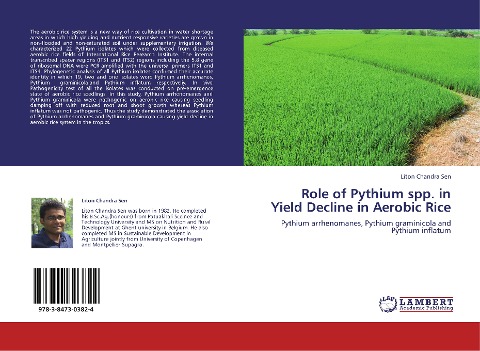 Role of Pythium spp. in Yield Decline in Aerobic Rice: Pythium arrhenomanes, Pythium graminicola  and Pythium inflatum
