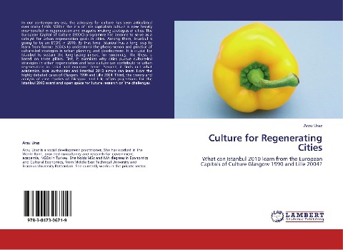 Culture for Regenerating Cities: What can Istanbul 2010 learn from the European Capitals of Culture Glasgow 1990 and Lille 2004?