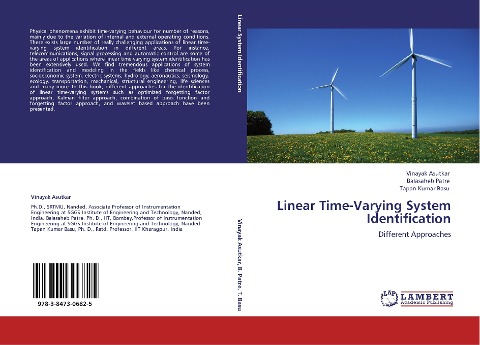 Linear Time-Varying System Identification: Different Approaches
