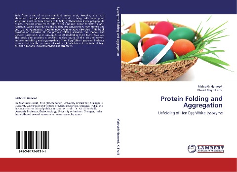 Protein Folding and Aggregation: Unfolding of Hen Egg White Lysozyme