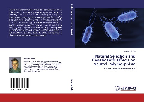 Natural Selection and Genetic Drift Effects on Neutral Polymorphism: Maintenance of Polymorphysm