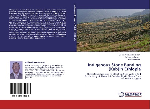 Indigenous Stone Bunding (Kab)in Ethiopia: Characterization and Its Effect on Crop Yield & Soil Productivity at AMesobit-Gedeba, North Shewa Zone of Amhara Region