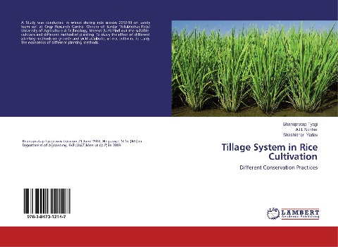 Tillage System in Rice Cultivation: Different Conservation Practices