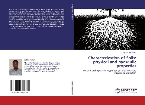 Characterization of Soils: physical and hydraulic properties: Physical and Hydraulic Properties of soils: Metahara sugarcane plantation