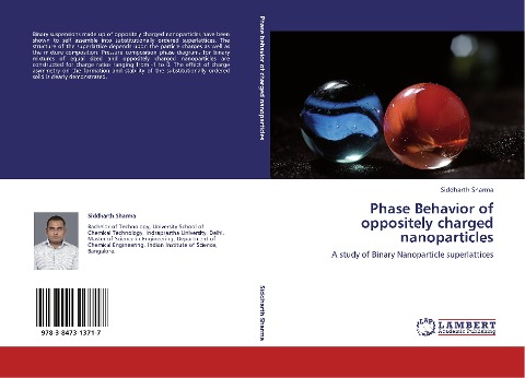 Phase Behavior of oppositely charged nanoparticles: A study of Binary Nanoparticle superlattices