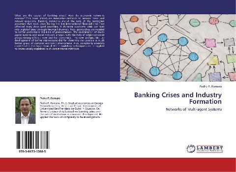 Banking Crises and Industry Formation: Networks of Multi-agent Systems