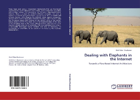 Dealing with Elephants in the Internet: Towards a Flow-Based Internet Architecture