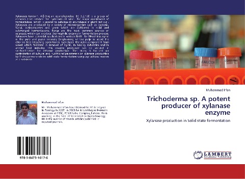 Trichoderma sp. A potent producer of xylanase enzyme: Xylanase production in Solid state fermentation