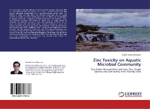 Zinc Toxicity on Aquatic Microbial Community: Zinc Oxide Nanoparticles and Ionic Zinc, Single Species and Community-level Toxicity Tests