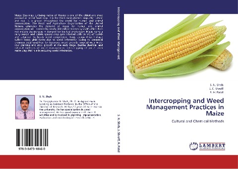Intercropping and Weed Management Practices in Maize: Cultural and Chemical Methods