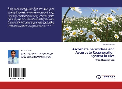 Ascorbate peroxidase and Ascorbate Regeneration System in Rice: Under Flooding Stress