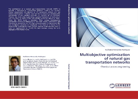 Multiobjective optimization of natural gas transportation networks: Chemical process engineering