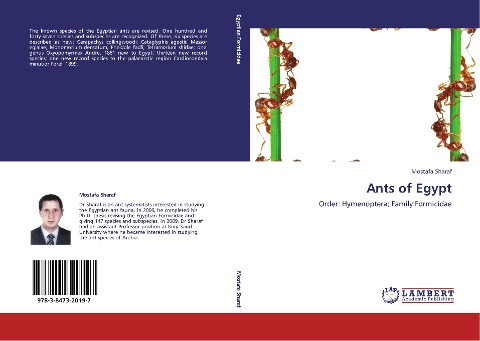 Ants of Egypt: Order: Hymenoptera; Family:Formicidae