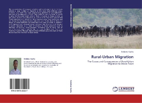 Rural-Urban Migration: The Causes and Consequences of Rural-Urban Migration to Dessie Town