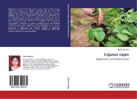 Cajanus cajan: Regeneration and Transformation