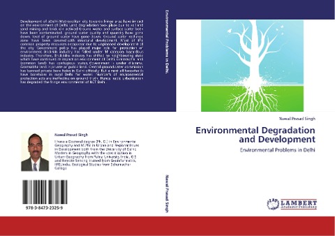 Environmental Degradation and Development: Environmental Problems in Delhi