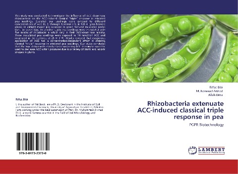 Rhizobacteria extenuate ACC-induced classical triple response in pea: PGPR Biotechnology