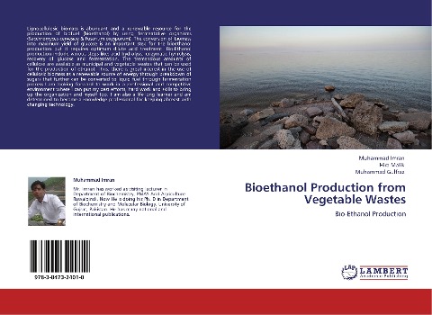 Bioethanol Production from Vegetable Wastes: Bio-Ethanol Production