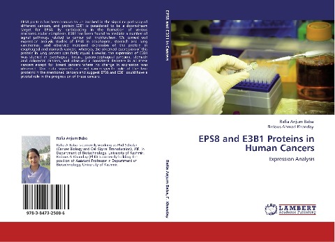 EPS8 and E3B1 Proteins in Human Cancers: Expression Analysis