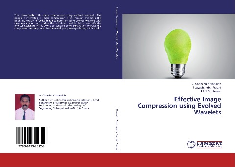 Effective Image Compression using Evolved Wavelets