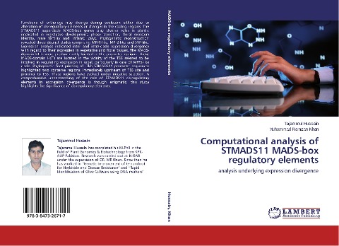 Computational analysis of STMADS11 MADS-box regulatory elements: analysis underlying expression divergence