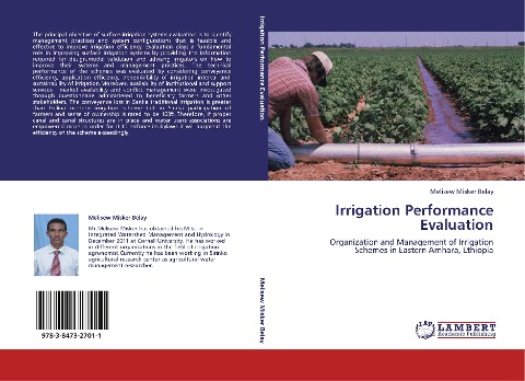 Irrigation Performance Evaluation: Organization and Management of Irrigation Schemes in Eastern Amhara, Ethiopia