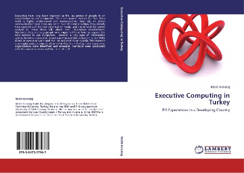 Executive Computing in Turkey: EIS Experiences in a Developing Country