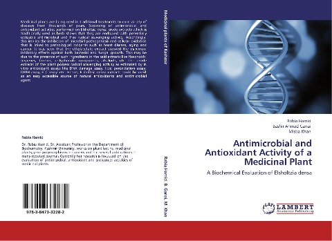 Antimicrobial and Antioxidant Activity of a Medicinal Plant: A Biochemical Evaluation of Elsholtzia densa