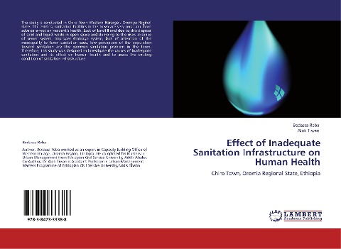 Effect of Inadequate Sanitation Infrastructure on Human Health: Chiro Town, Oromia Regional State, Ethiopia