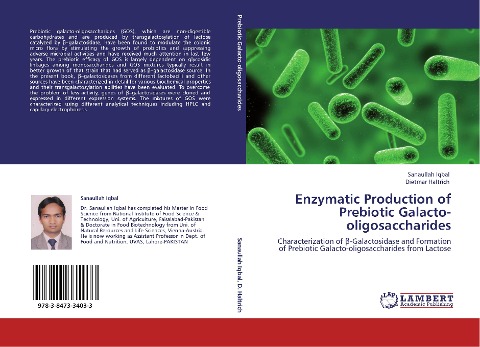 Enzymatic Production of Prebiotic Galacto-oligosaccharides: Characterization of ¿-Galactosidase and Formation of Prebiotic Galacto-oligosaccharides from Lactose