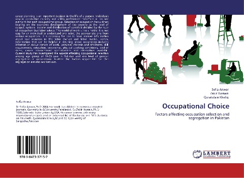 Occupational Choice: Factors affecting occupation selection and segregation in Pakistan