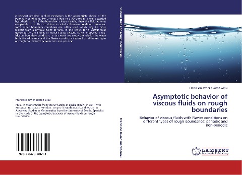 Asymptotic behavior of viscous fluids on rough boundaries: Behavior of viscous fluids with Navier conditions on different types of rough boundaries: periodic and non-periodic