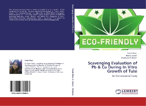 Scavenging Evaluation of  Pb & Cu During In Vitro Growth of Tulsi: An Environmental Study