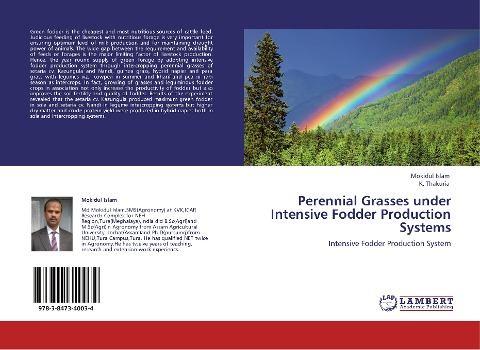 Perennial Grasses under Intensive Fodder Production Systems: Intensive Fodder Production System
