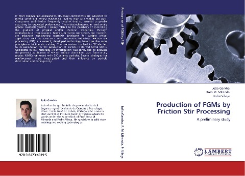 Production of FGMs by Friction Stir Processing: A preliminary study